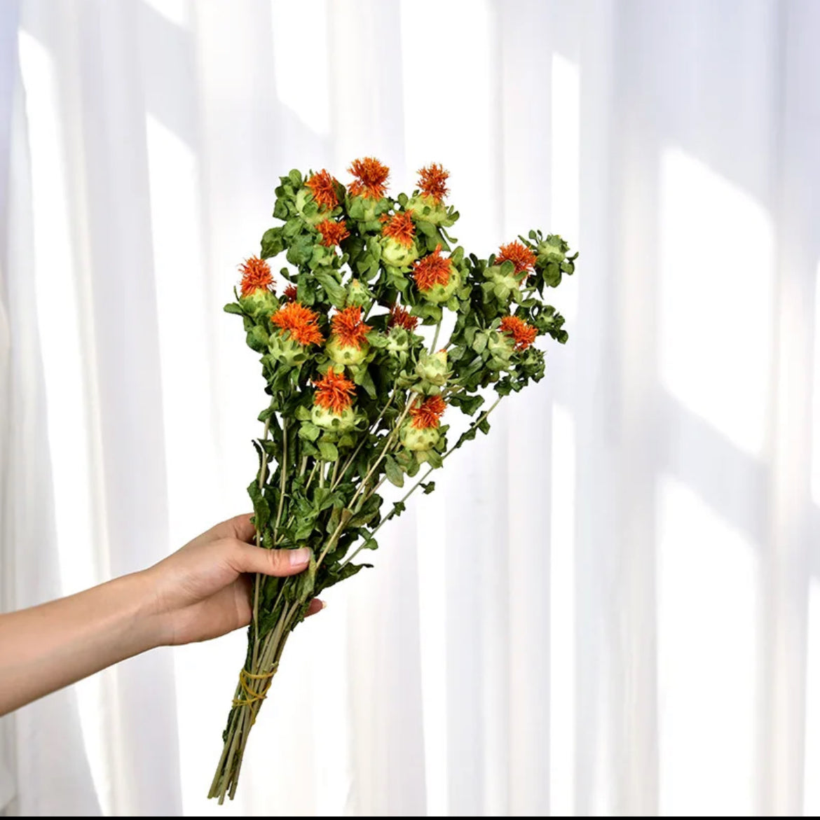 Dried safflower - https://artecasa.in/