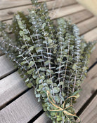 Light Green Eucalyptus - https://artecasa.in/
