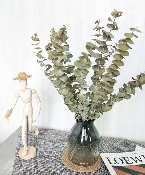 Light Green Eucalyptus - https://artecasa.in/