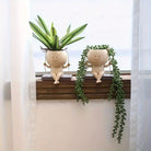 The Happy Hang planter - https://artecasa.in/