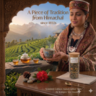 Kangra Tea House brand story – organic Himalayan tea heritage