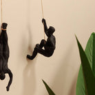 The Climbing crew Wall Hanging (Set of 3)-Black - https://artecasa.in/