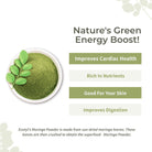 Moringa Leaf Powder - Ecotyl - 100% Organic I Sustainable