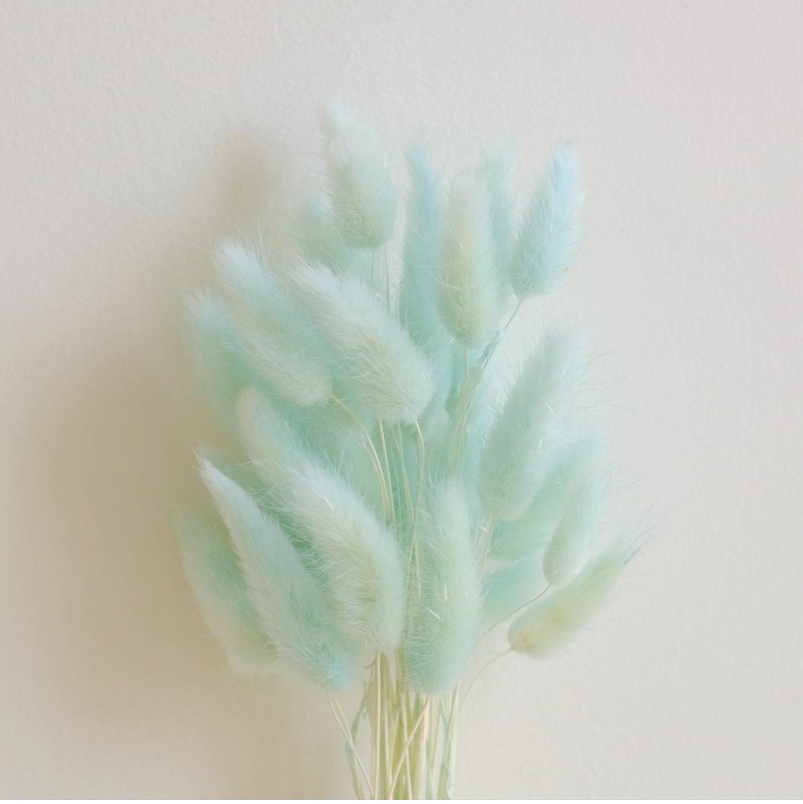 Mint Green Bunny Tail dried flowers bunch for vase decor and aesthetic home styling by ArteCasa