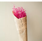 Pink flax dried flowers Natural Dried Floral Decor for Vase Styling | Arte Casa