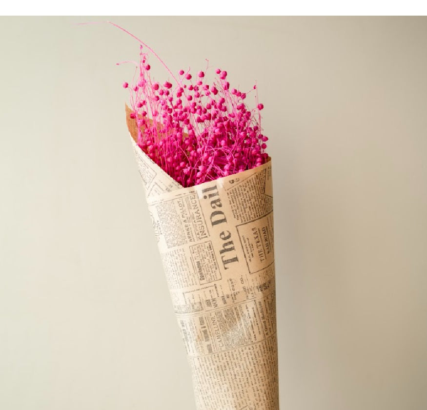 Pink flax dried flowers Natural Dried Floral Decor for Vase Styling | Arte Casa