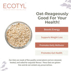Rolled Oats - Ecotyl - 100% Organic I Sustainable