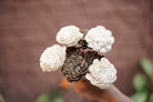 Sola Flower-Golden White - https://artecasa.in/