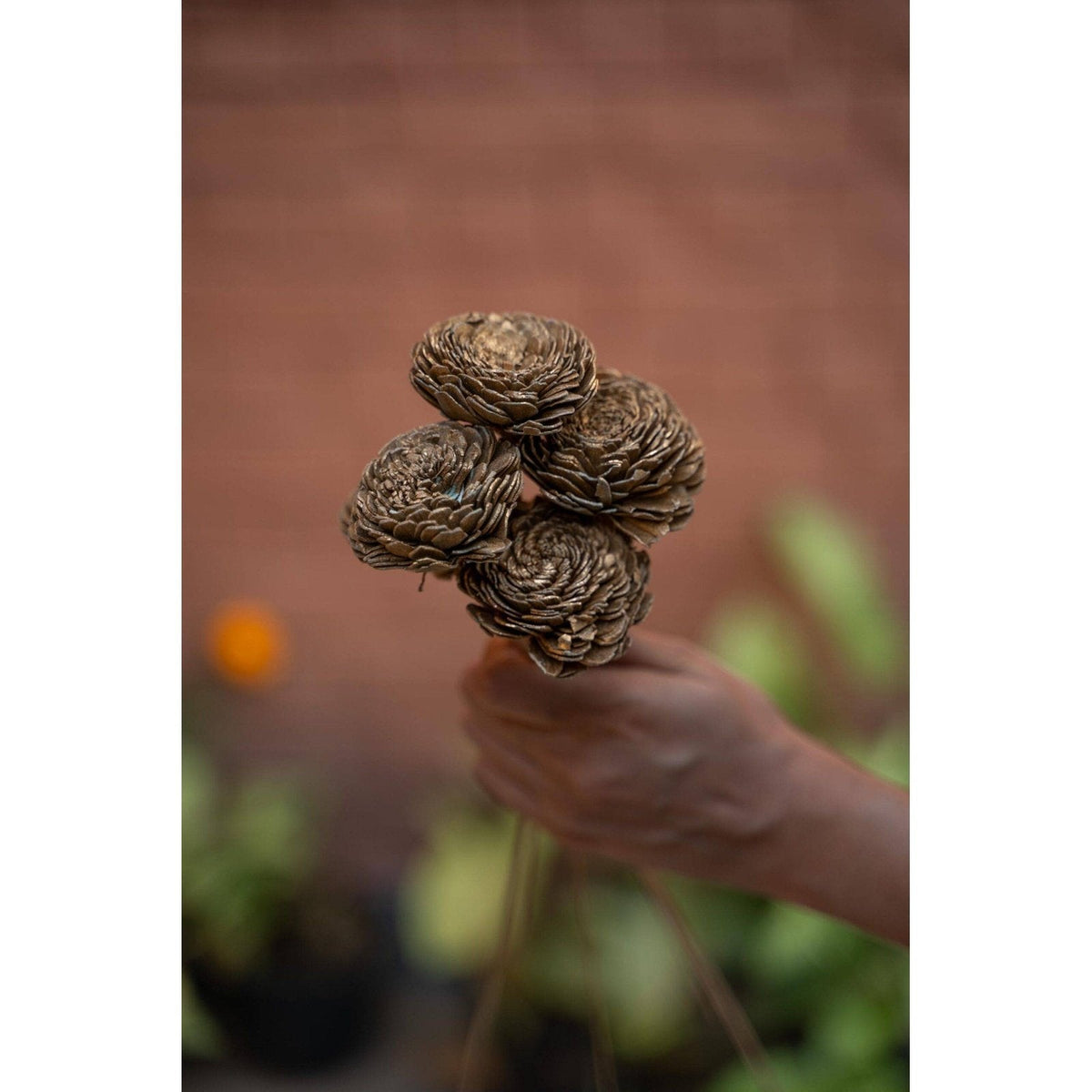 Sola Flower-Golden - https://artecasa.in/