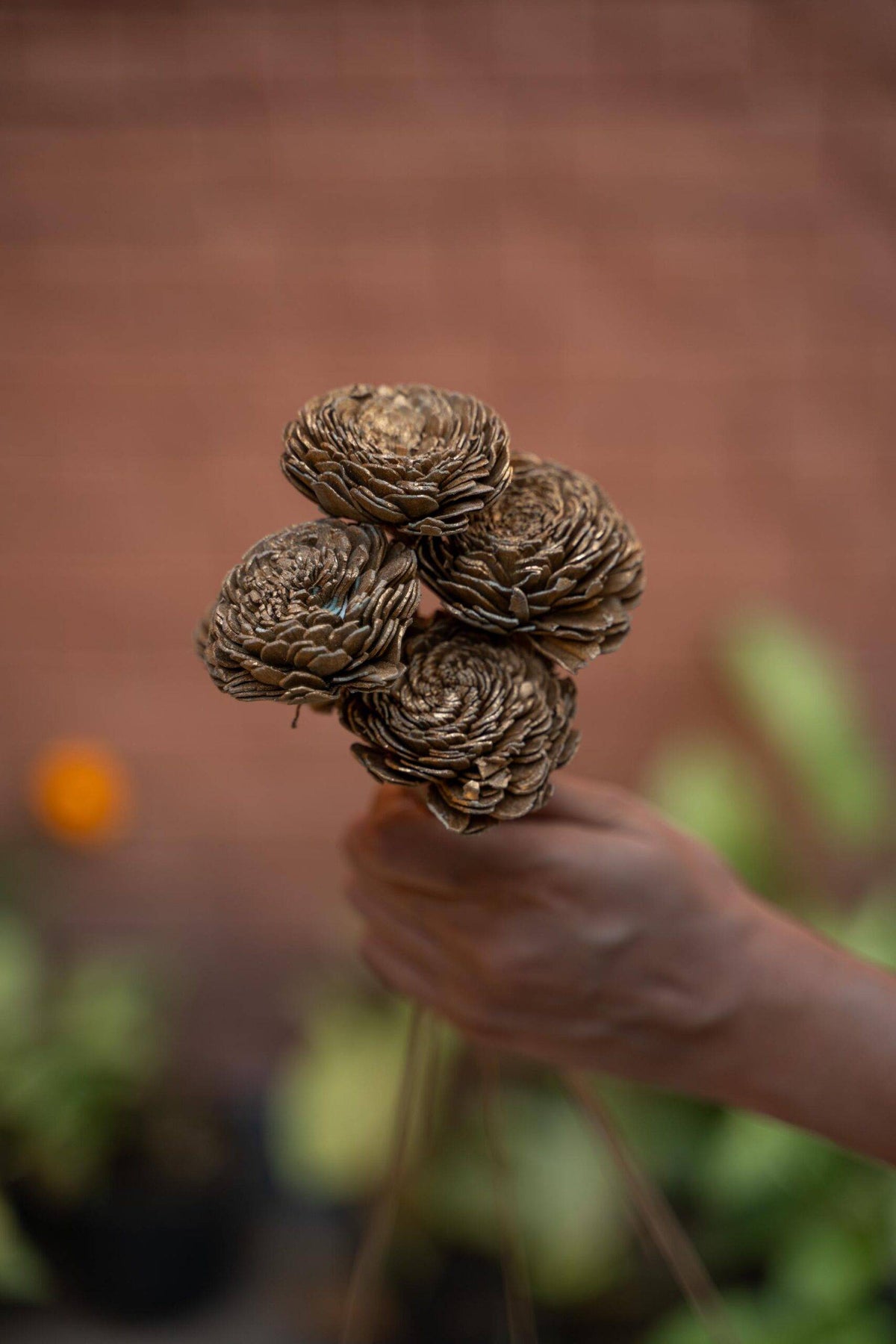 Sola Flower-Golden White - https://artecasa.in/