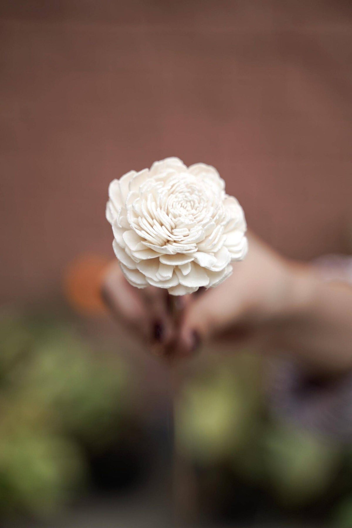 Sola Flower-Golden White - https://artecasa.in/