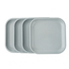 Rice Husk Snack Plates Set of 4