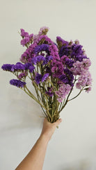 Statice Bunch dried flowers for vase decor and home styling by ArteCasa