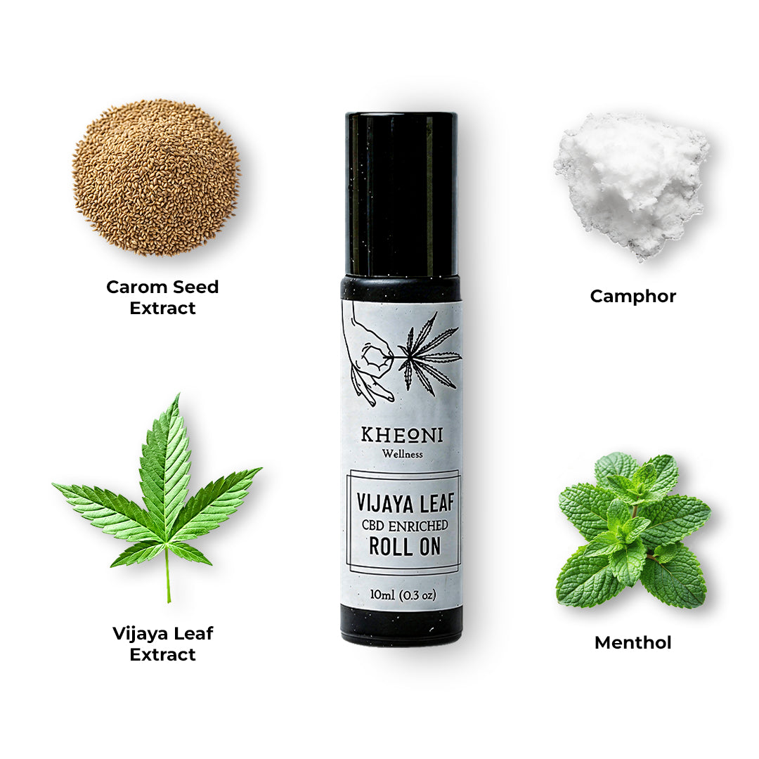 Vijaya Leaf Roll On infographic key ingredients camphor, menthol, carom seed and vijaya leaf extract