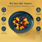 Wheat Straw and Bamboo Fiber Fluted Snack Plates Set Of 4