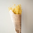 Yellow flax dried flower - https://artecasa.in/