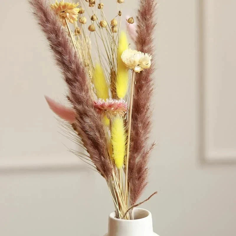 Aira Dried Floral Decor for Home Styling