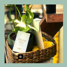 Basket With Lid - Water Reed (Kauna Grass) - Home Decor