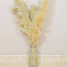 Beige medium pampas grass arrangement for modern home decor and entryway styling