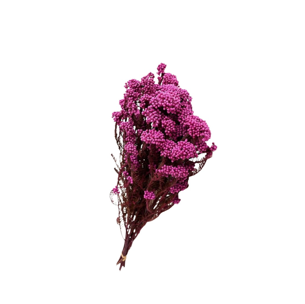 Pink Dried Rice Flower – Natural Forever Floral Décor | ArteCasa - https://artecasa.in/