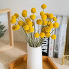 Billy Eucalyptus bunch - https://artecasa.in/