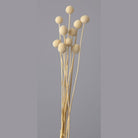 Billy ball-set of 10 - https://artecasa.in/