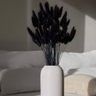 Black Bunny Tails Dried Flowers for Vase Decor and Home Styling