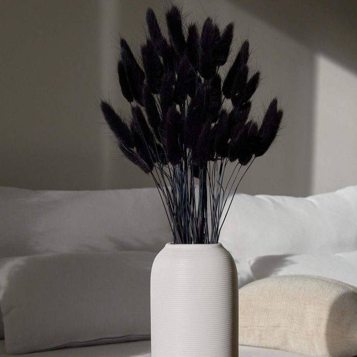 Black Bunny Tails Dried Flowers for Vase Decor and Home Styling