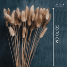 Brown Bunny Tail dried flower bunch for vase decor, bouquet arrangements and aesthetic home styling by ArteCasa.