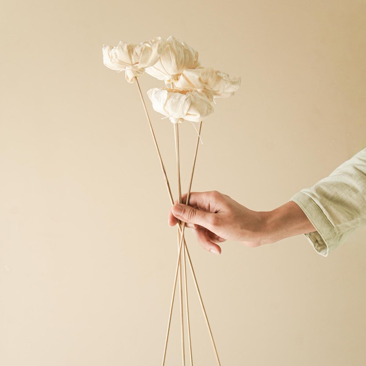 Cabbage Flower Dried Stems for Vase Decor and Home Styling