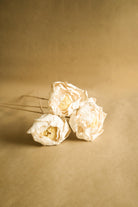 Cabbage Flower Natural Dried Floral Decor for Home Styling