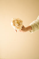Cabbage Flower Dried Stems for Table and Shelf Decor
