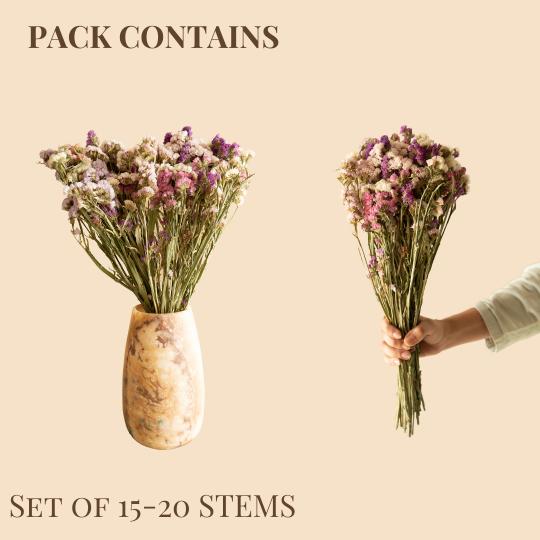 Colourful Statice dried flowers for decorative floral arrangements and home styling