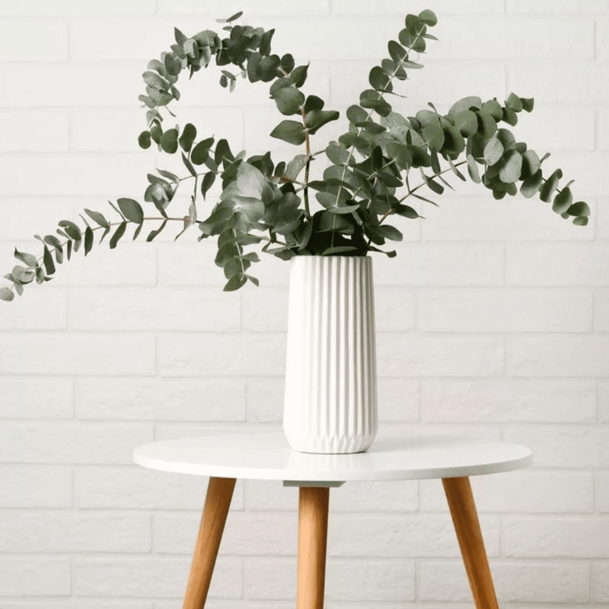 Dried Eucalyptus Leaves Set of 5 for Shower and Vase Decor
