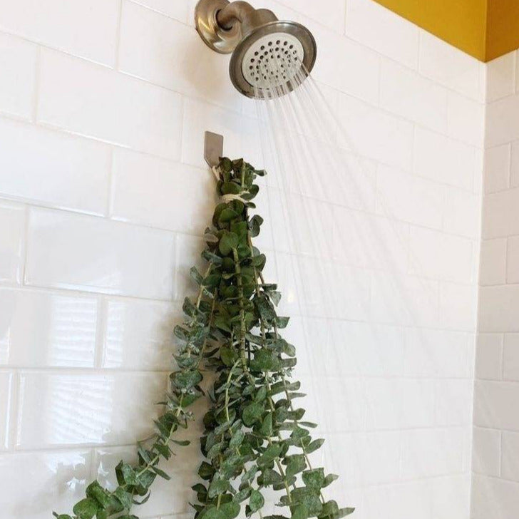 Natural Dried Eucalyptus Leaves Arrangement for Shower and Vase Decor