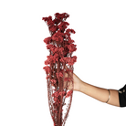 Dried Rice Flowers for Decor | Natural Floral Bunch - https://artecasa.in/