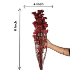 Dried Rice Flowers for Decor | Natural Floral Bunch - https://artecasa.in/
