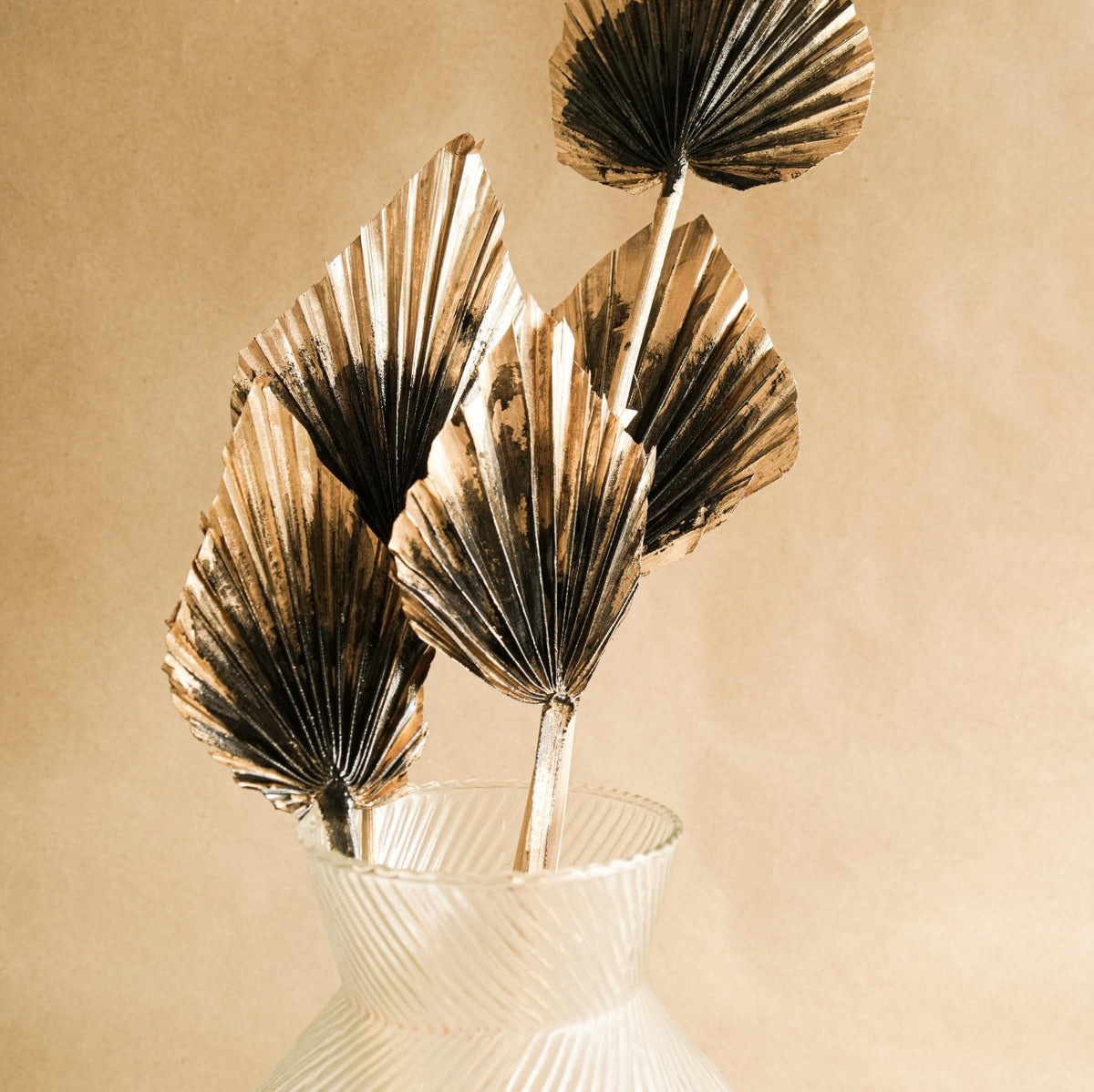 Golden Black Palm Leaves Dried Decor Set of 5 Palm Spears