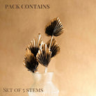 Golden Black Palm Leaves Set of 5 for Vase and Interior Decor