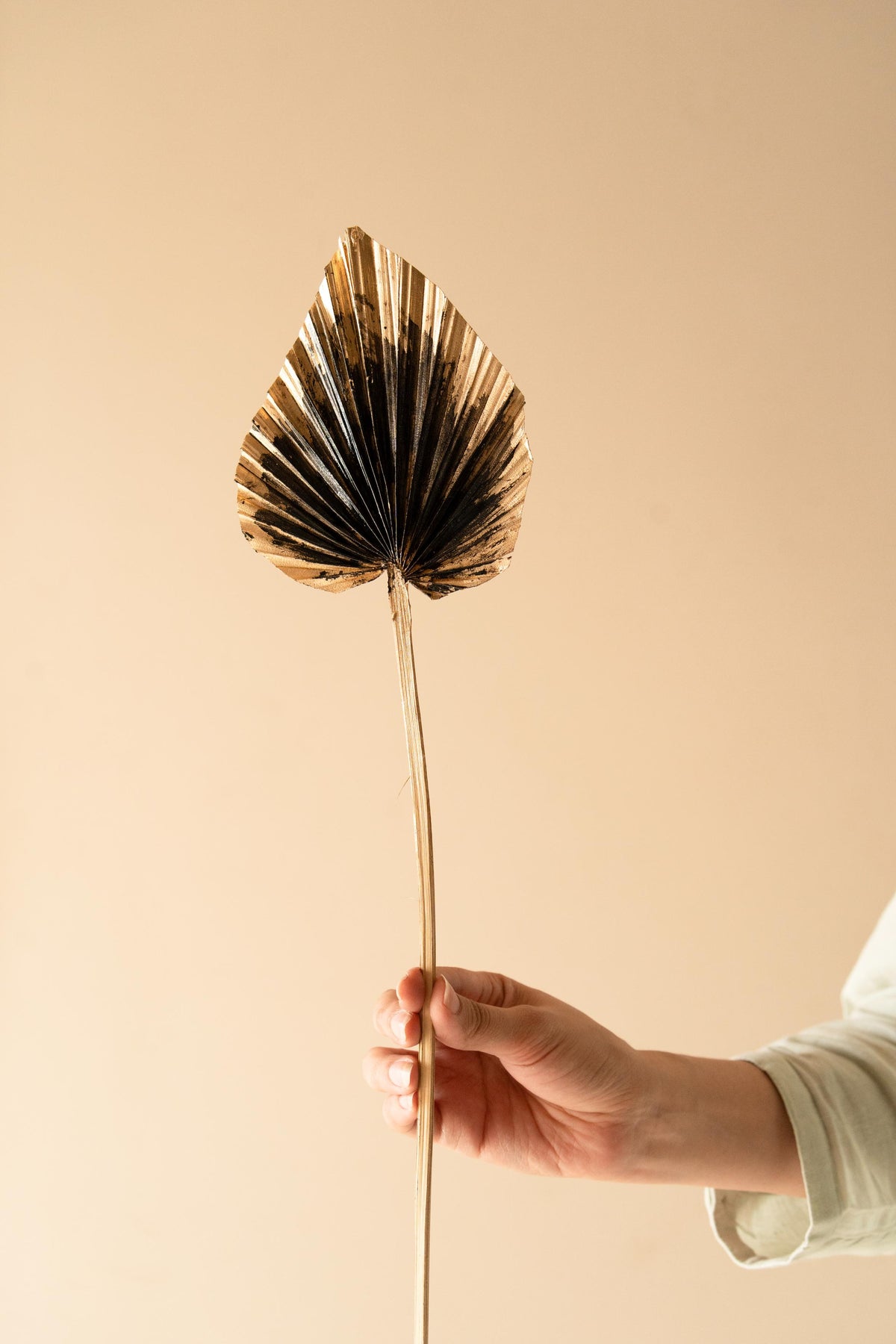 Golden Black Palm Leaves Decorative Arrangement for Table Decor
