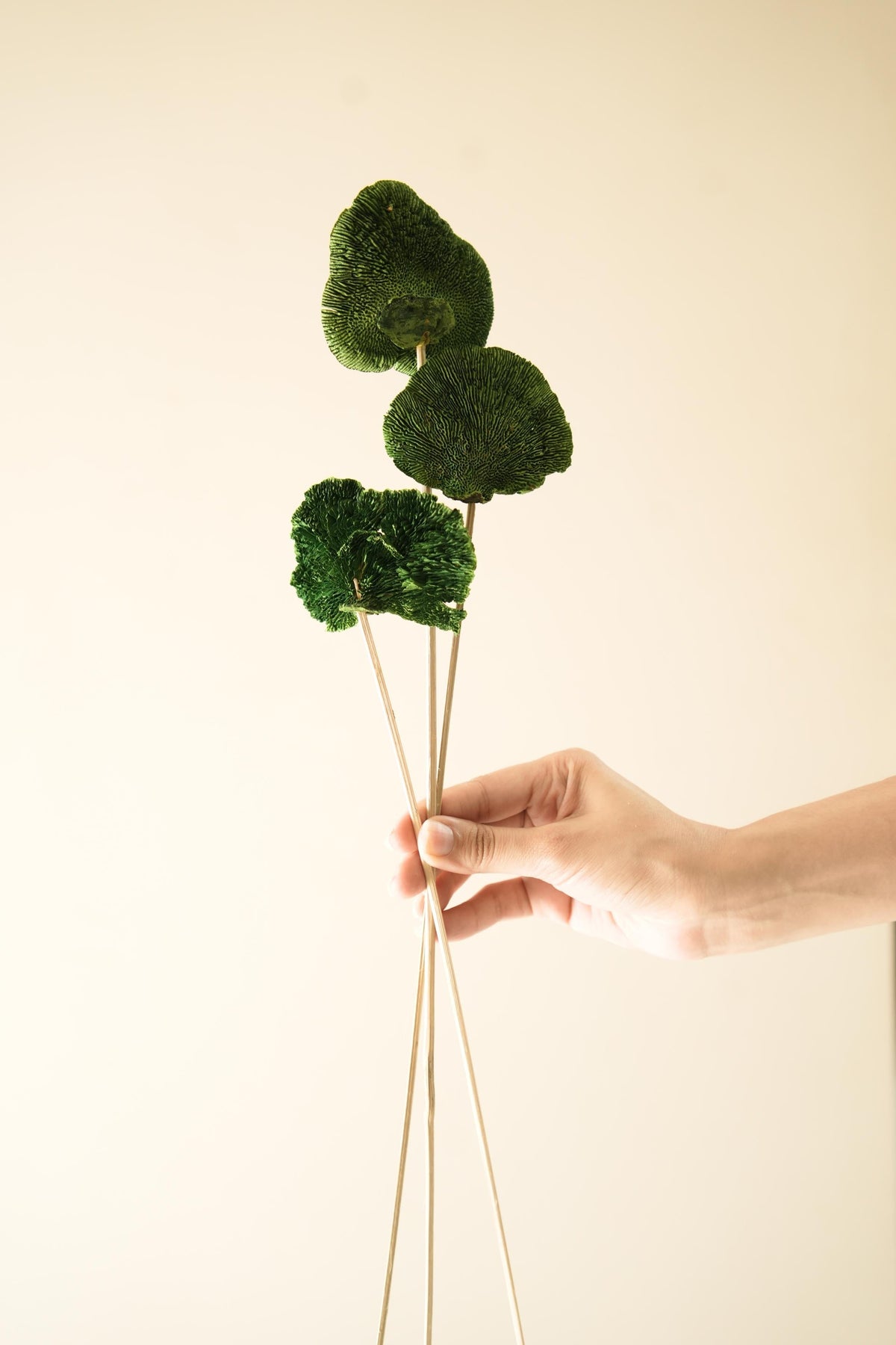 Green Sponge Mushroom Decorative Stem for Home Styling