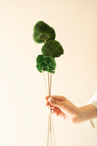 Green Sponge Mushroom Dried Flower in Decorative Vase Arrangement