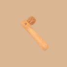 Jar Cleaning Coir Brush - Kitchen
