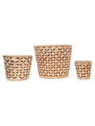 Jodhpur Jaali Planter - Greenkraft