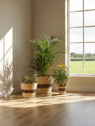 Kohima Weave Planter - Greenkraft