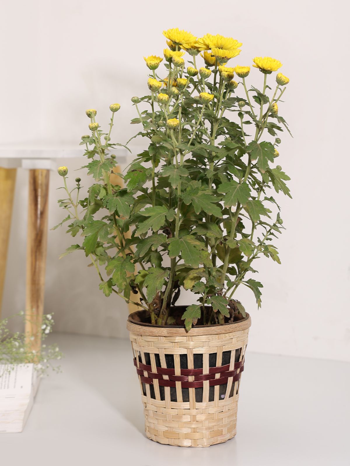 Kohima Weave Planter - Greenkraft