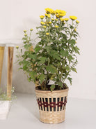 Kohima Weave Planter - Greenkraft