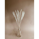 Mini White Pampas Arrangement in Decorative Vase
