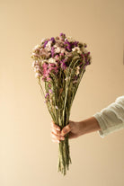 Multicolor Statice dried flowers bunch for aesthetic decor and gifting