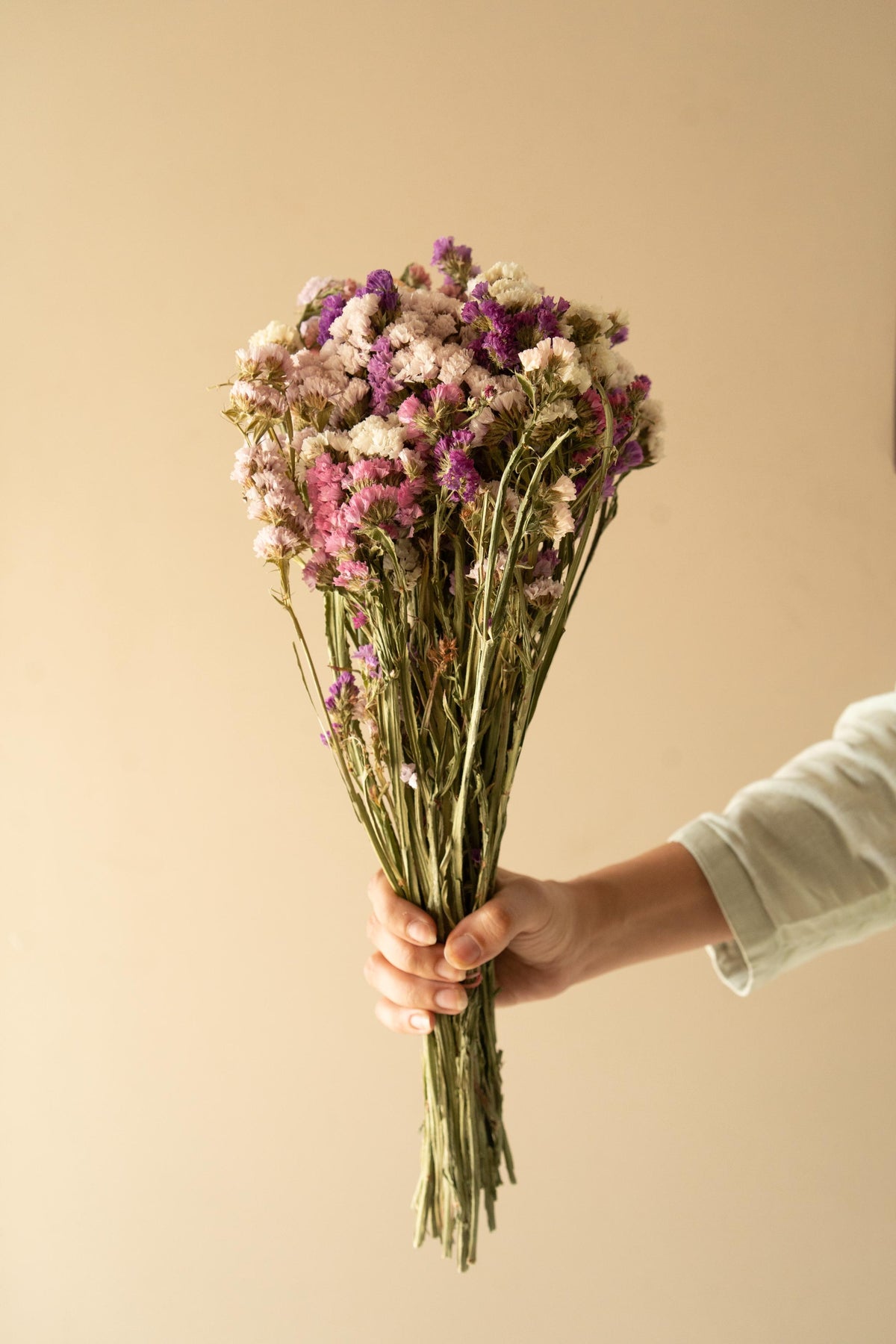 Multicolor Statice dried flowers bunch for aesthetic decor and gifting